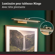 Luminaire pour tableaux Mingo en métal brossé couleur laiton avec tête pivotante pour éclairage mural