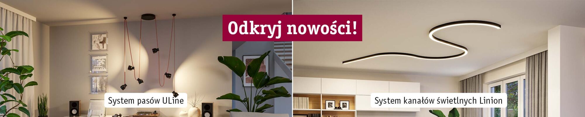 Neuheiten Entdecken Banner