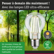 Ampoule LED à lumière blanc chaud et ultra-efficace sur fond de forêt verte lumineuse
