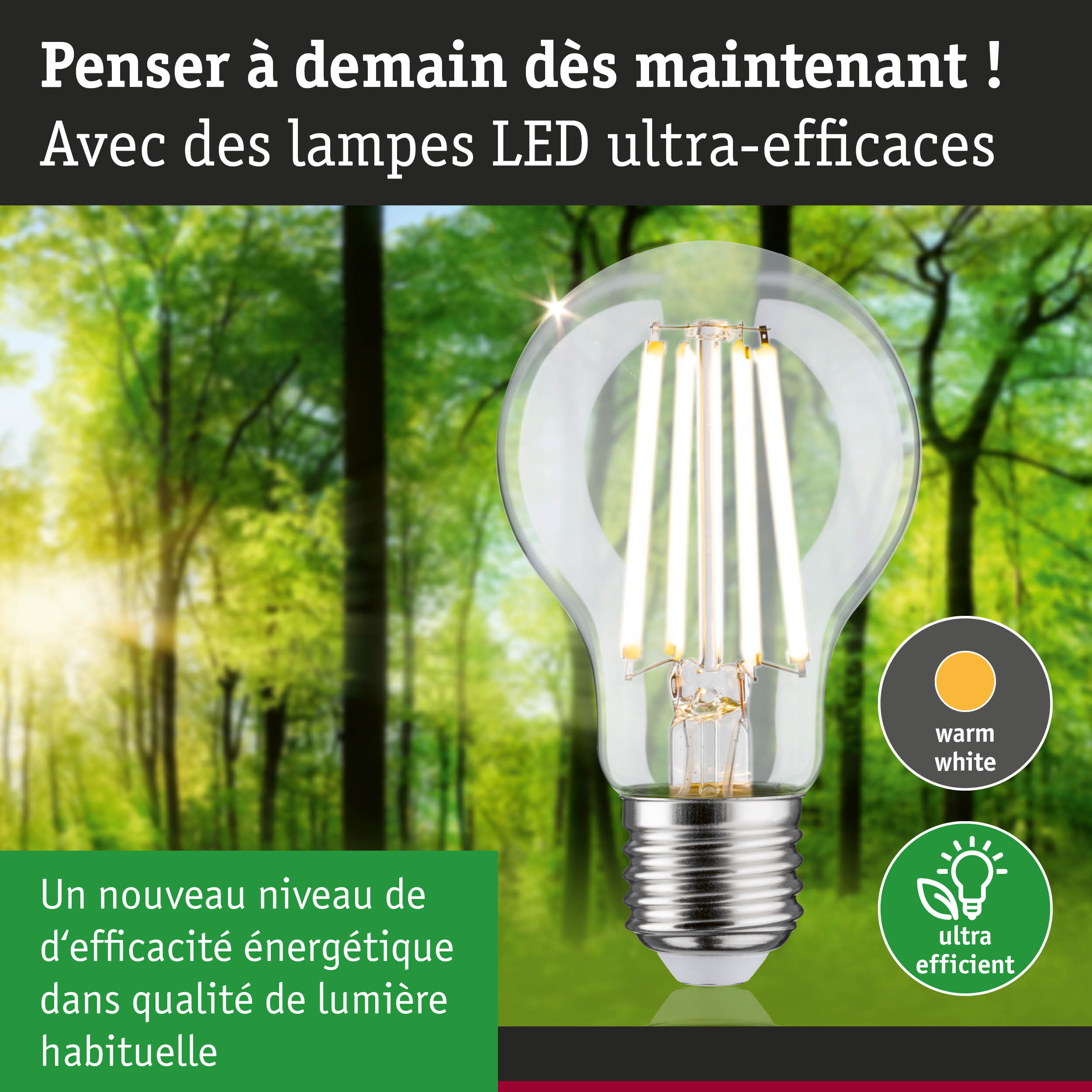 Ampoule LED à lumière blanc chaud et ultra-efficace sur fond de forêt verte lumineuse
