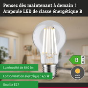 Ampoule LED à lumière blanc chaud et ultra-efficace sur fond de forêt verte lumineuse