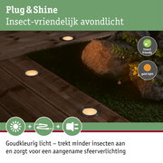 Insectvriendelijk Plug & Shine warmwit LED avondlicht voor tuin en terrasverlichting