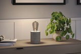 Modern table lamp with grey concrete base and decorative bulb on sideboard next to green houseplant