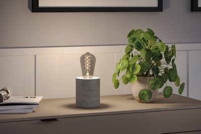 Moderne bordlampe med grå betonfod og dekorativ pære på skænk ved siden af grøn stueplante