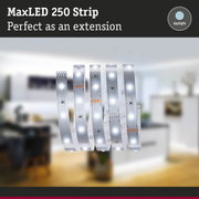 MaxLED 250 Strip white LED light strip with daylight colour, perfect as an extension for LED lighting