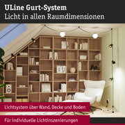 ULine Gurt-System mit grüner Kabelführung und weißen Kugelleuchten in modernem Wohnzimmer mit Bücherregal