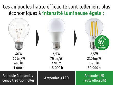 Graphique comparatif des ampoules traditionnelles, LED et LED haute efficacité classe A