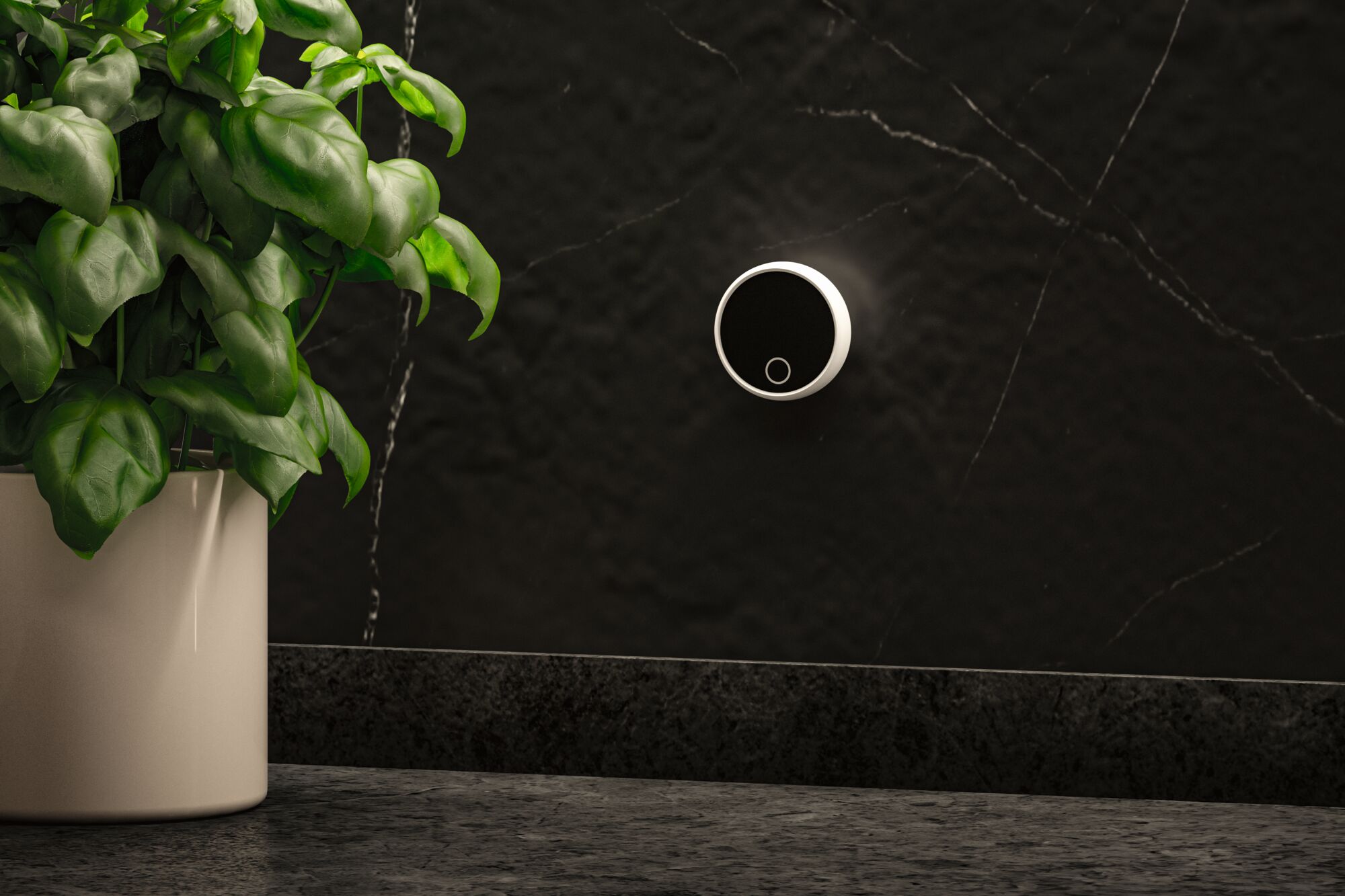 Round black wall dimmer with white edge on black marble wall next to green houseplant in white pot