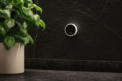 Round black wall dimmer with white edge on black marble wall next to green houseplant in white pot