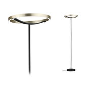 Moderne Stehleuchte mit gebürstetem Messingring und schwarzem Metallfuß, LED Designlampe