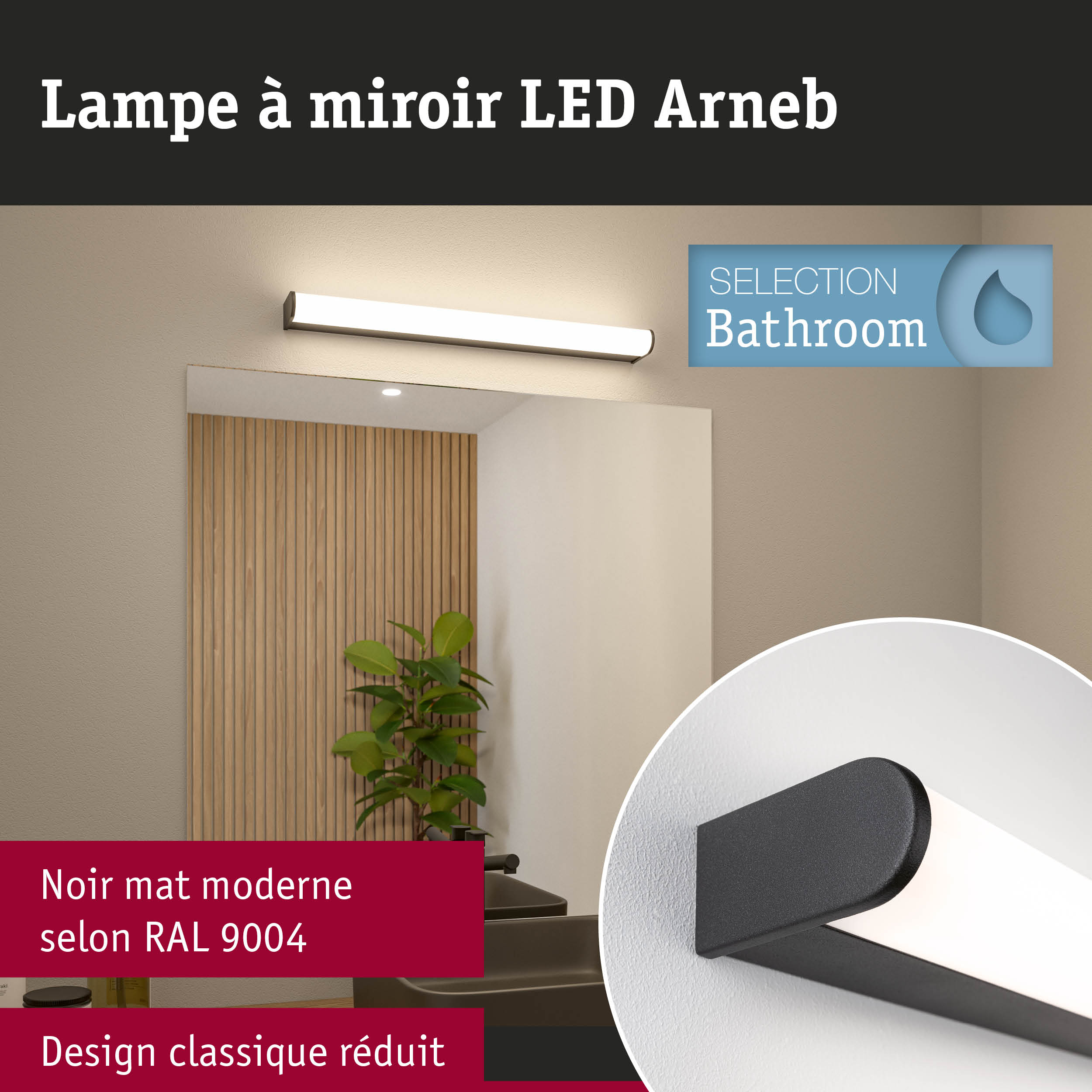 Lampe miroir LED Arneb noire mate au design classique réduit pour éclairage de salle de bain