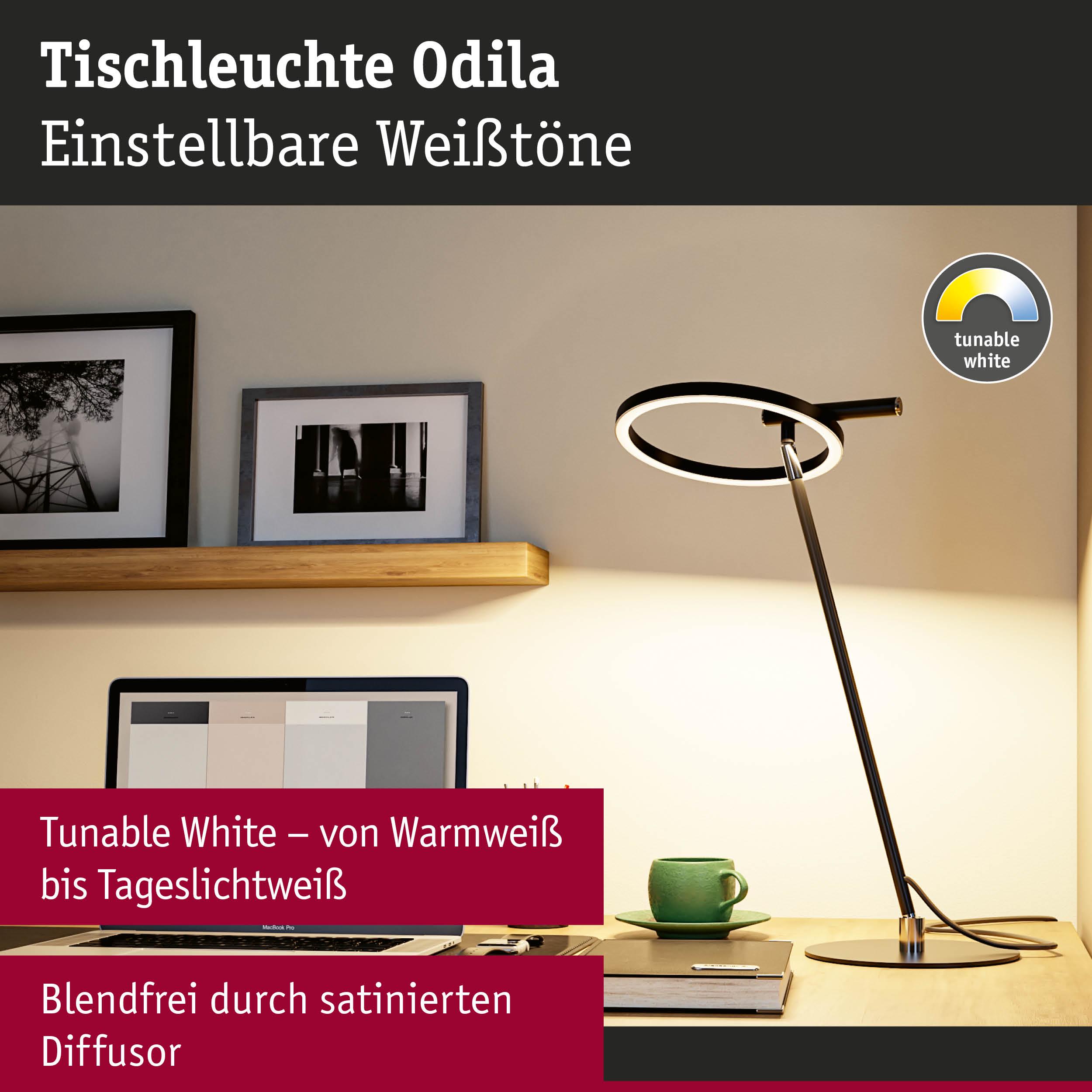 Moderne Tischleuchte Odila in Schwarz mit einstellbaren Weißtönen und satinierter Diffusor für blendfreies Licht