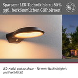 Schwarze LED-Außenwandleuchte mit warmweißem Licht und austauschbarem Modul für nachhaltige Gartenbeleuchtung