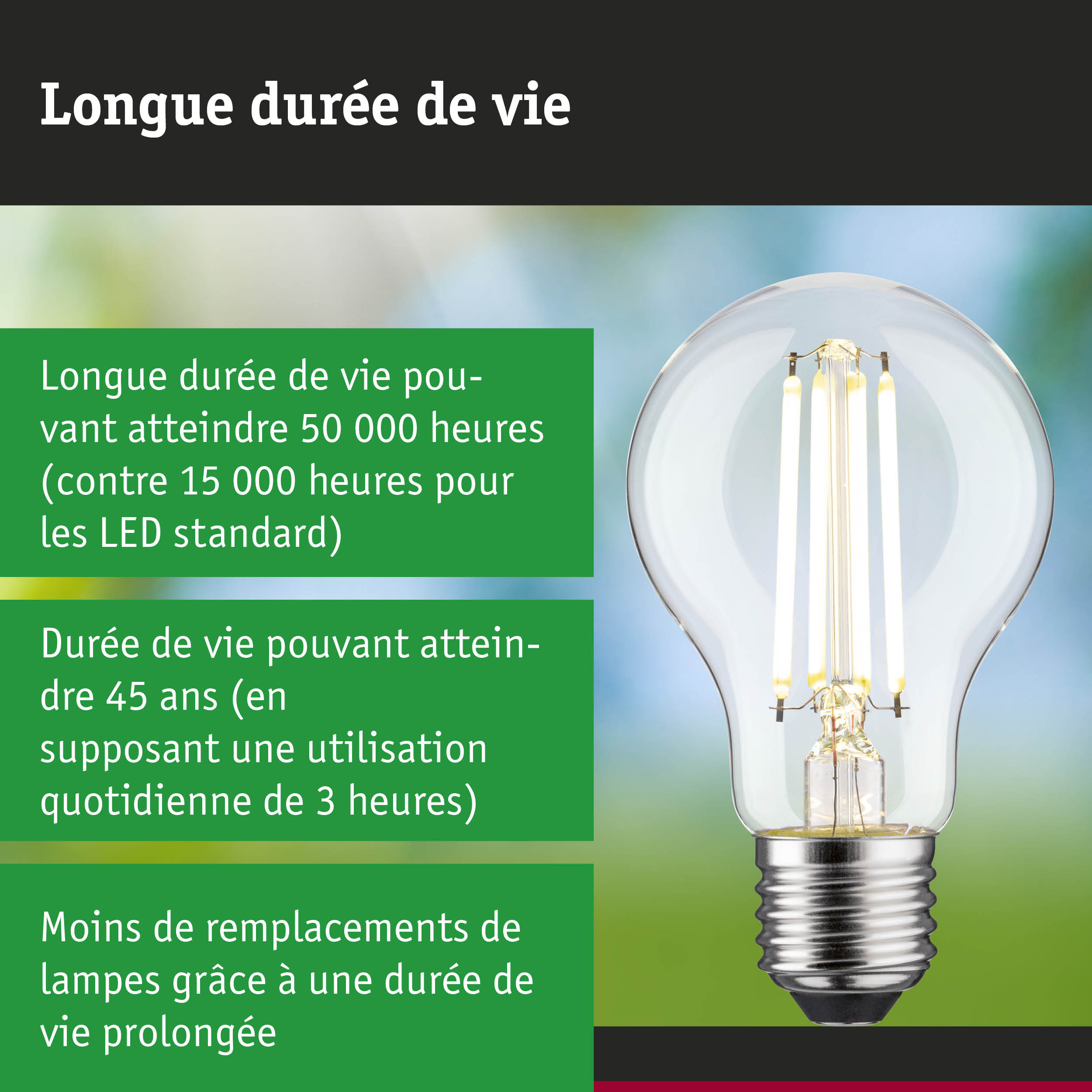 Ampoule LED à longue durée de vie tenue en main, éclairage LED économique pour la maison
