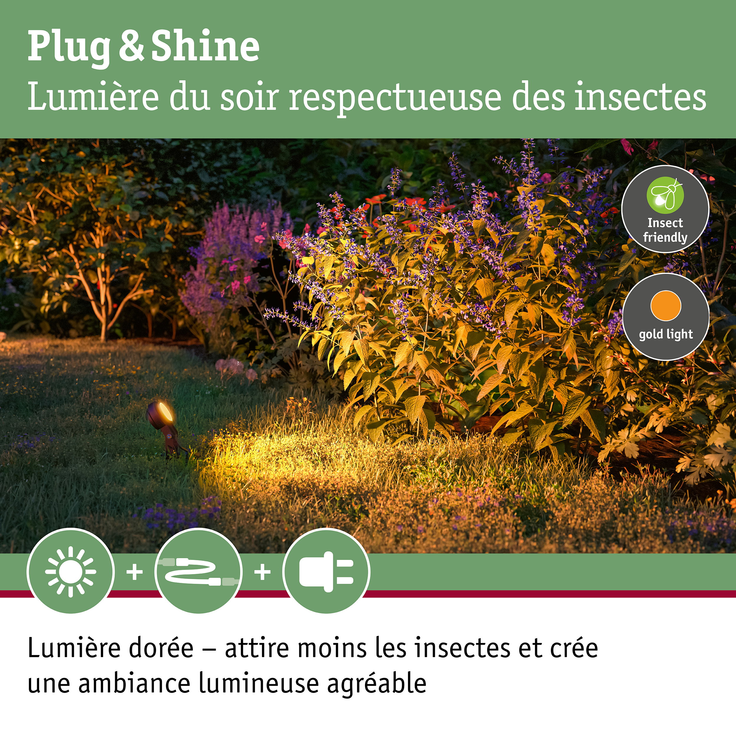 Jardin éclairé par un projecteur LED blanc chaud respectueux des insectes et des plantes