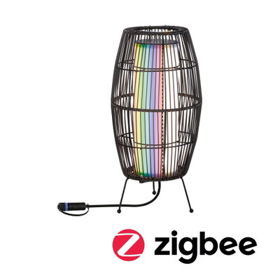 Zwarte metalen tafellamp met kleurrijke LED binnenverlichting en Zigbee slimme bediening