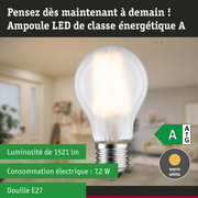 Ampoule LED lumière blanc chaud ultra efficace énergétiquement sur fond de forêt verte