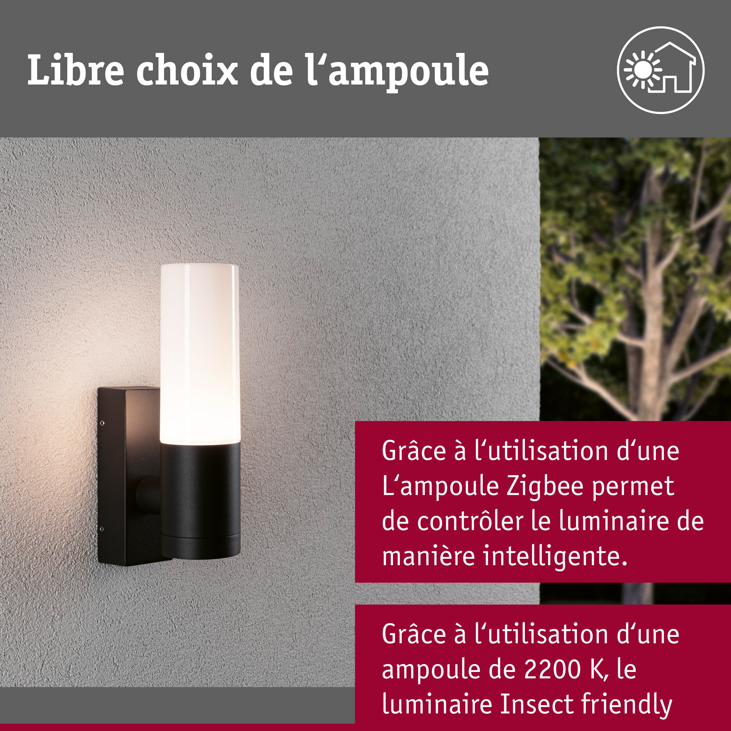 Applique murale extérieure noire avec verre blanc et design respectueux des insectes sur mur gris