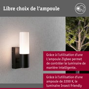 Applique murale extérieure noire avec verre blanc et design respectueux des insectes sur mur gris