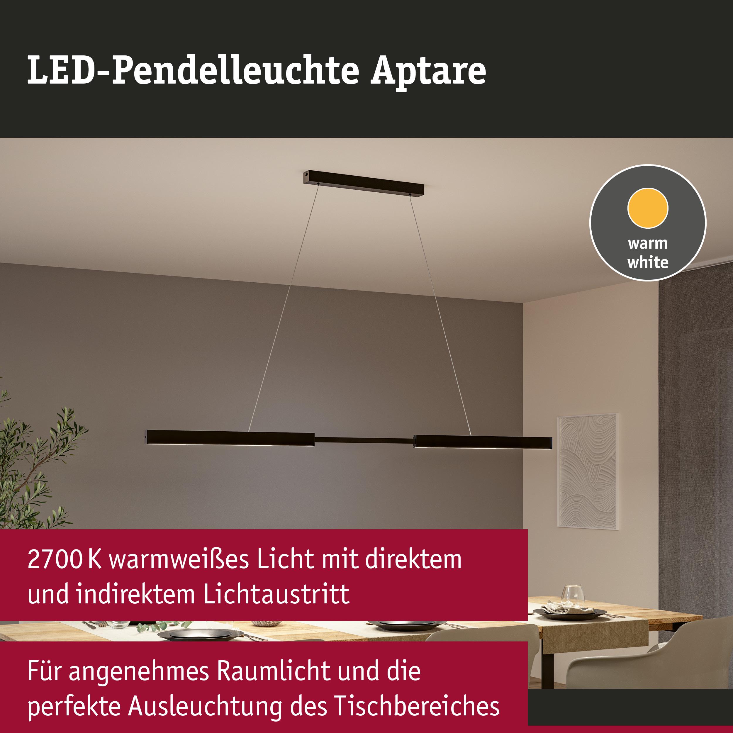 LED-Pendelleuchte Aptare in Schwarz mit warmweißem Licht für angenehme Tischbeleuchtung
