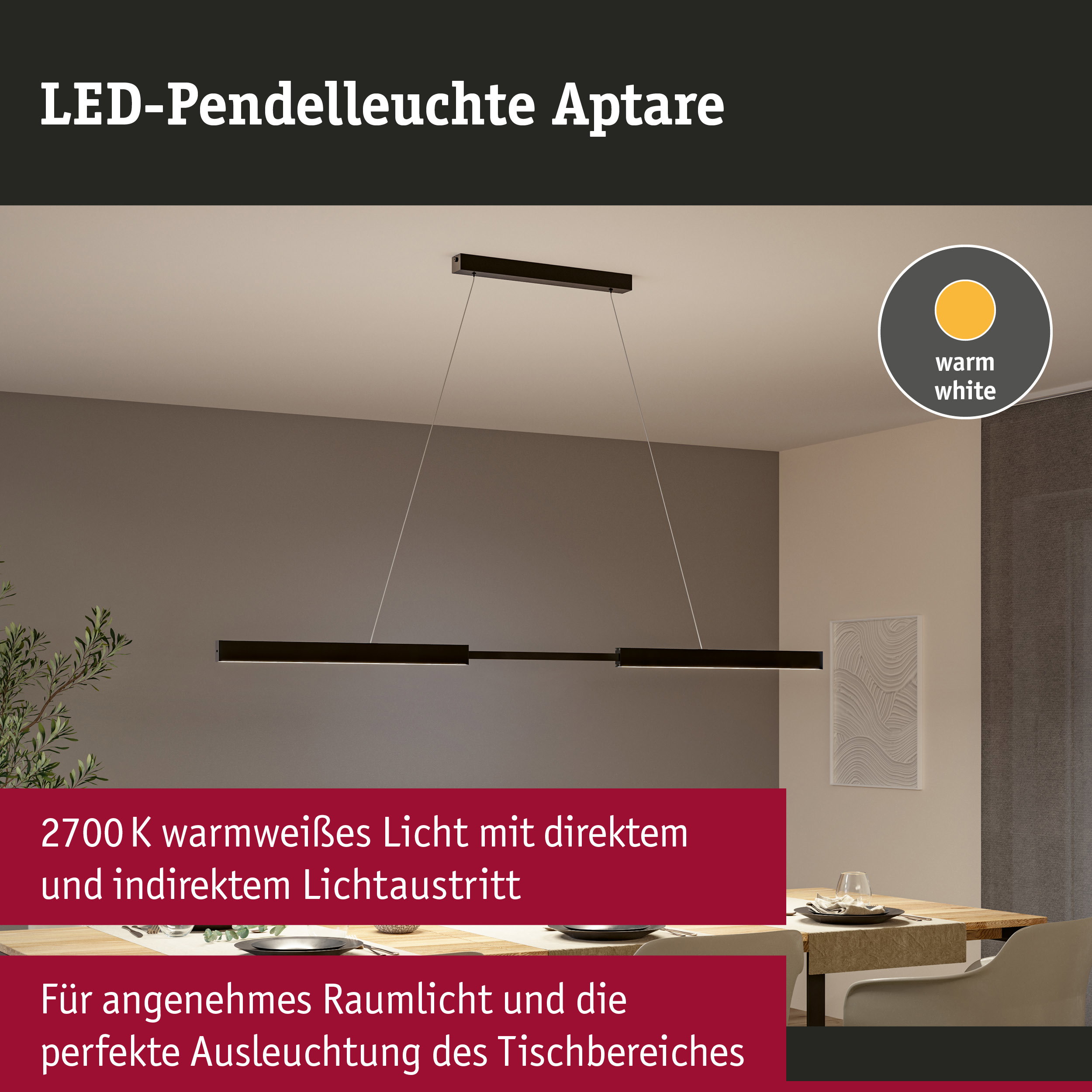 LED-Pendelleuchte Aptare in Schwarz mit warmweißem Licht für angenehme Raumbeleuchtung und Essbereich.