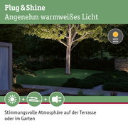 Garten mit Baum beleuchtet von warmweißem Plug & Shine LED-Außenlicht für stimmungsvolle Terrasse