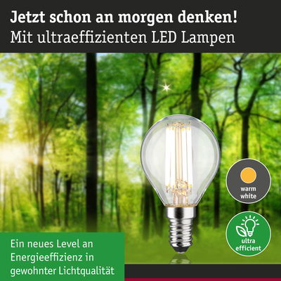 Energiesparende LED-Lampe mit warmweißem Licht vor grünem Waldhintergrund für nachhaltige Beleuchtung
