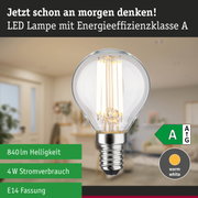 Klarer LED-Leuchtmittel mit warmweißem Licht und hoher Energieeffizienz vor grünem Waldhintergrund