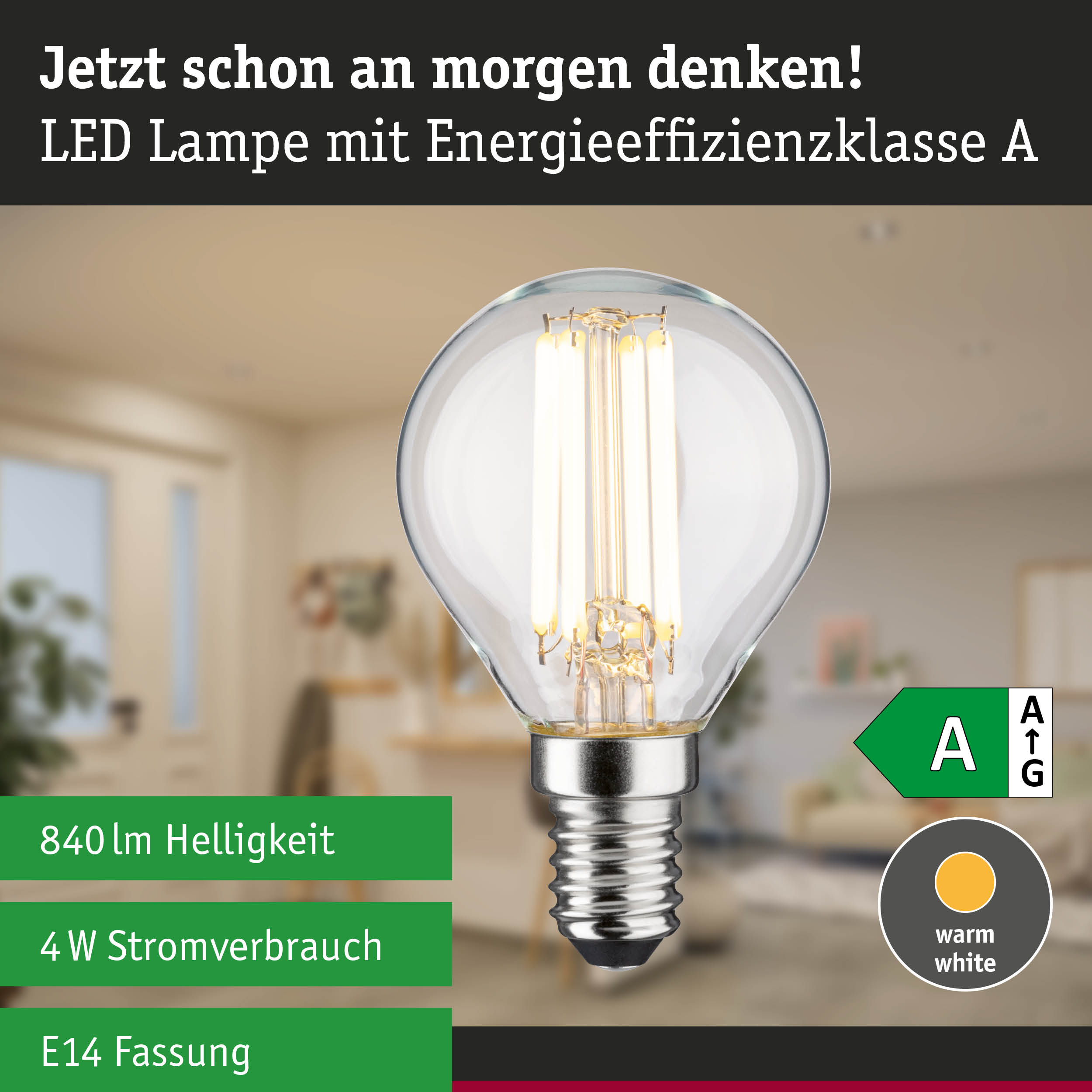 Klarer LED-Leuchtmittel mit warmweißem Licht und hoher Energieeffizienz vor grünem Waldhintergrund
