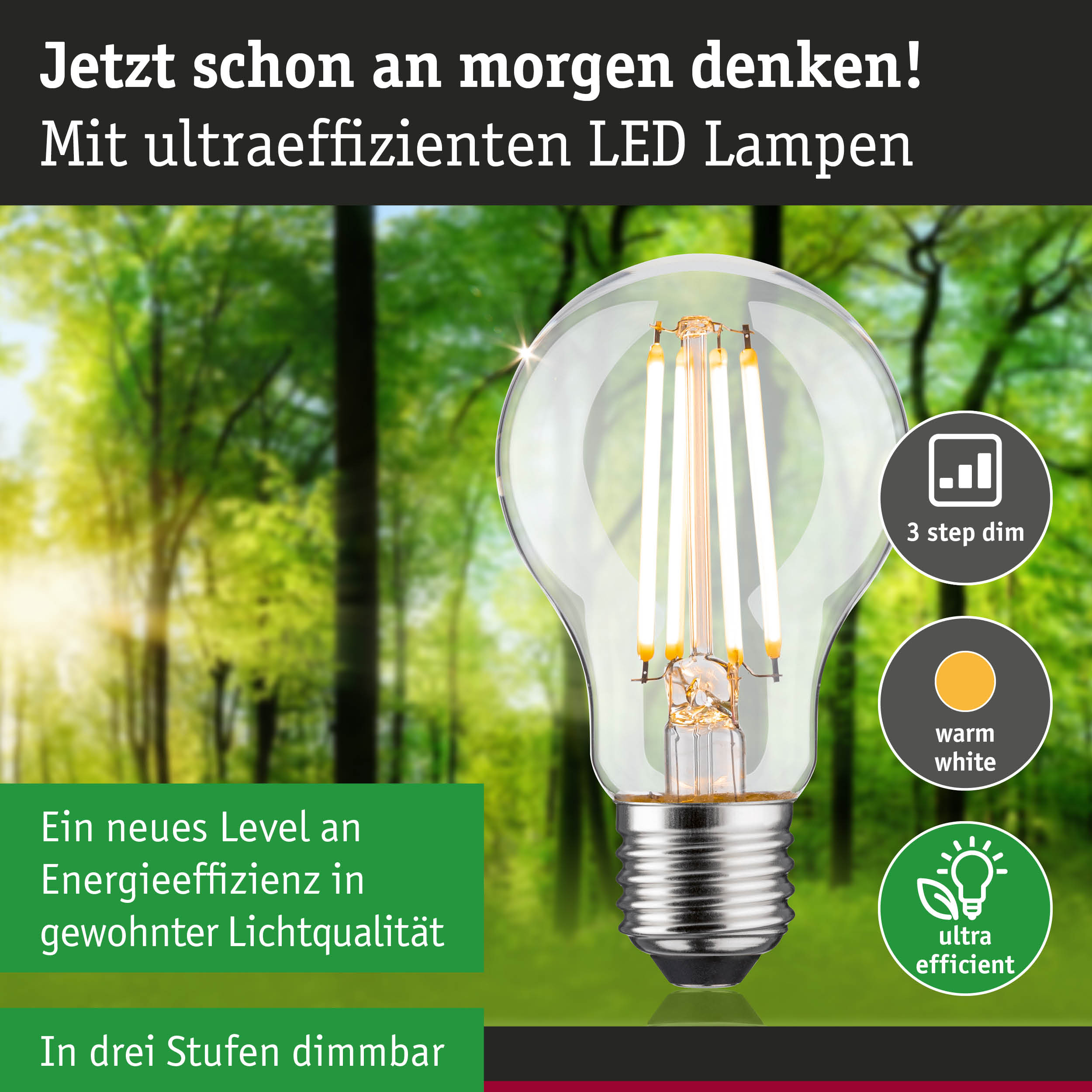 Klassische LED-Glühbirne mit warmweißem Licht und hoher Energieeffizienz in natürlichem Waldhintergrund