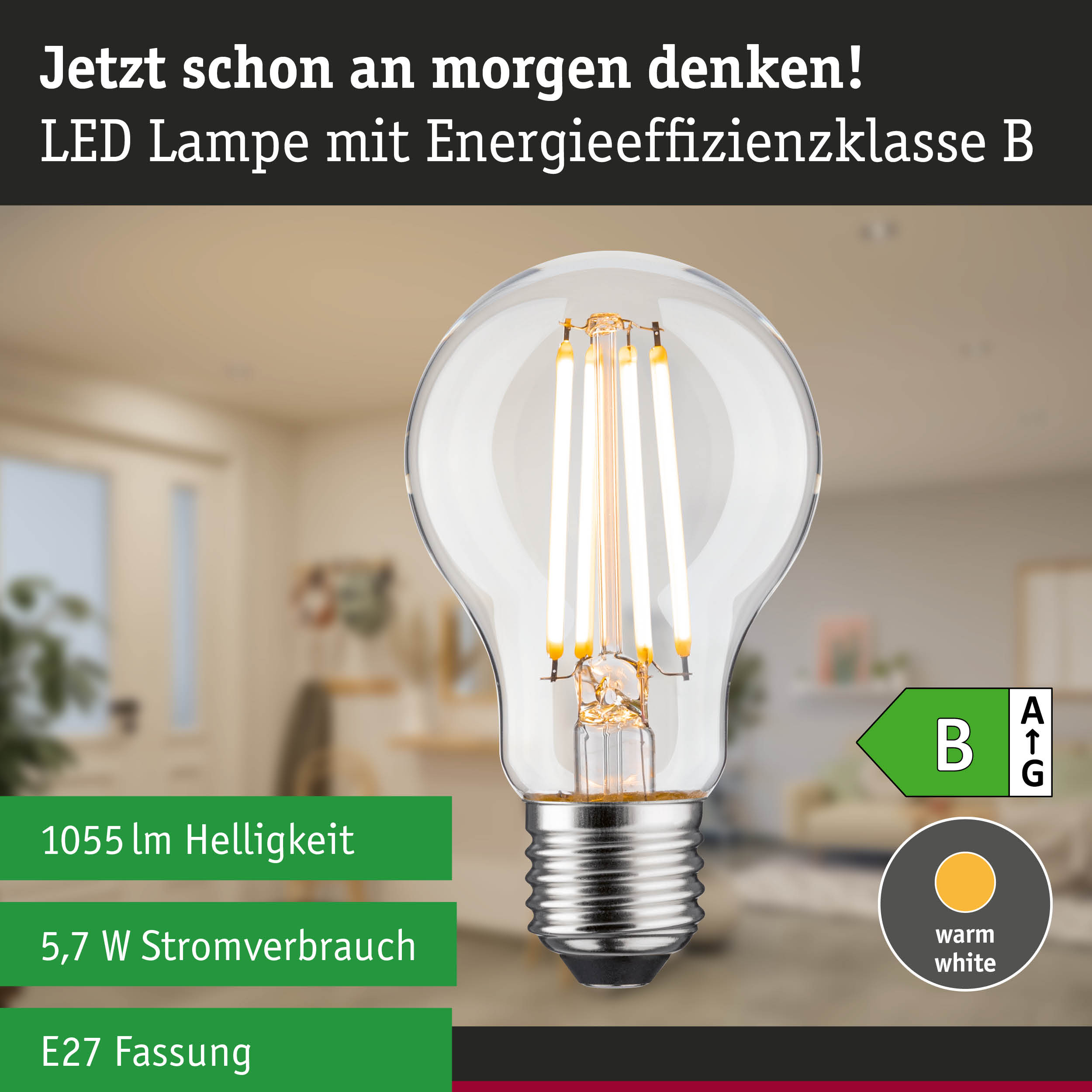 Klassische LED-Glühbirne mit warmweißem Licht und hoher Energieeffizienz in natürlichem Waldhintergrund