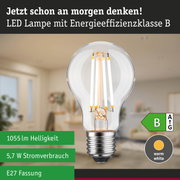 Klassische LED-Glühbirne mit warmweißem Licht und hoher Energieeffizienz in natürlichem Waldhintergrund