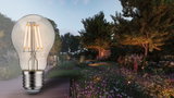 Clear glass LED filament bulb with E27 base in front of a garden lit with flowers and trees