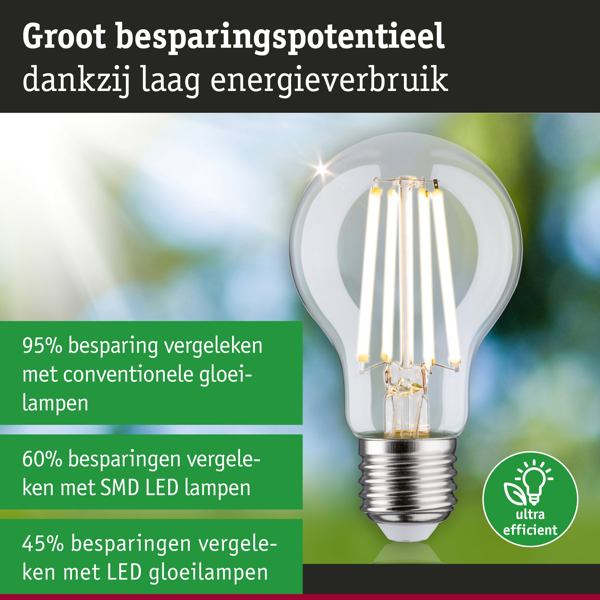 Energiezuinige LED-lamp met helder glas en zilveren fitting, hoge efficiëntie en milieuvriendelijk ontwerp