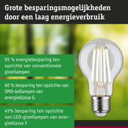 Energiezuinige LED-lamp met helder glas en zilveren fitting, hoge efficiëntie en milieuvriendelijk ontwerp
