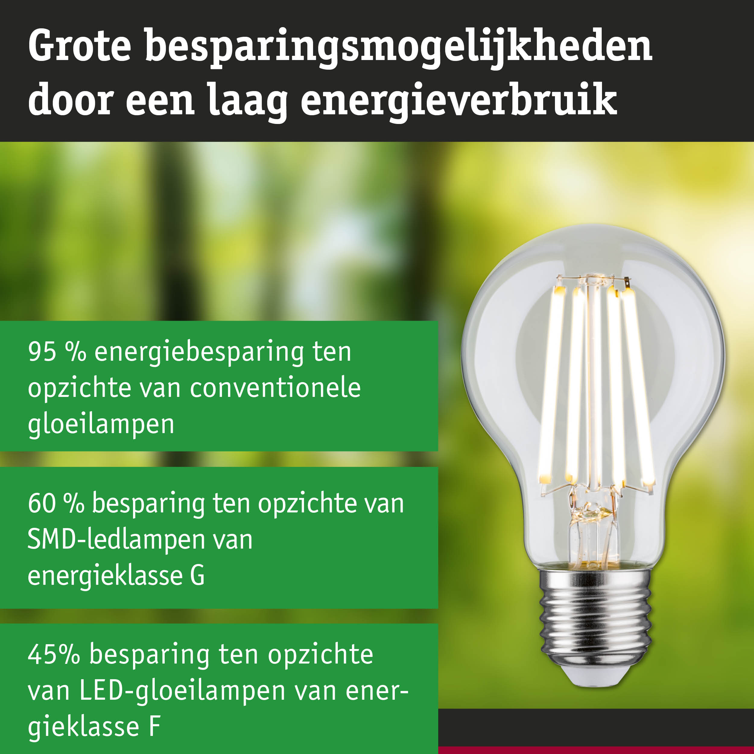 Energiezuinige LED-lamp met helder glas en zilveren fitting, hoge efficiëntie en milieuvriendelijk ontwerp