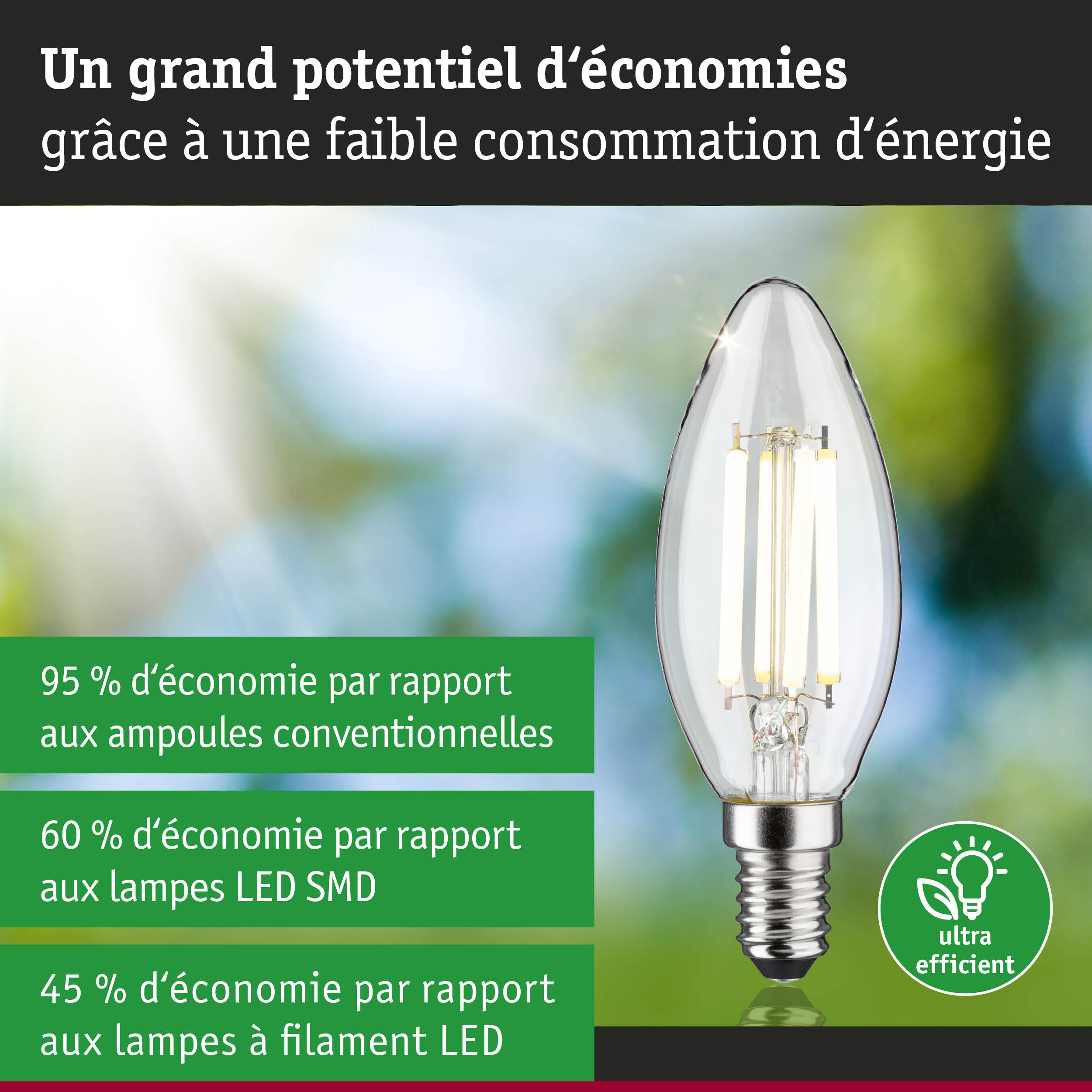 Ampoule LED économique en verre transparent avec culot E14 pour un éclairage efficace