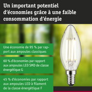 Ampoule LED économique en verre transparent avec culot E14 pour un éclairage efficace