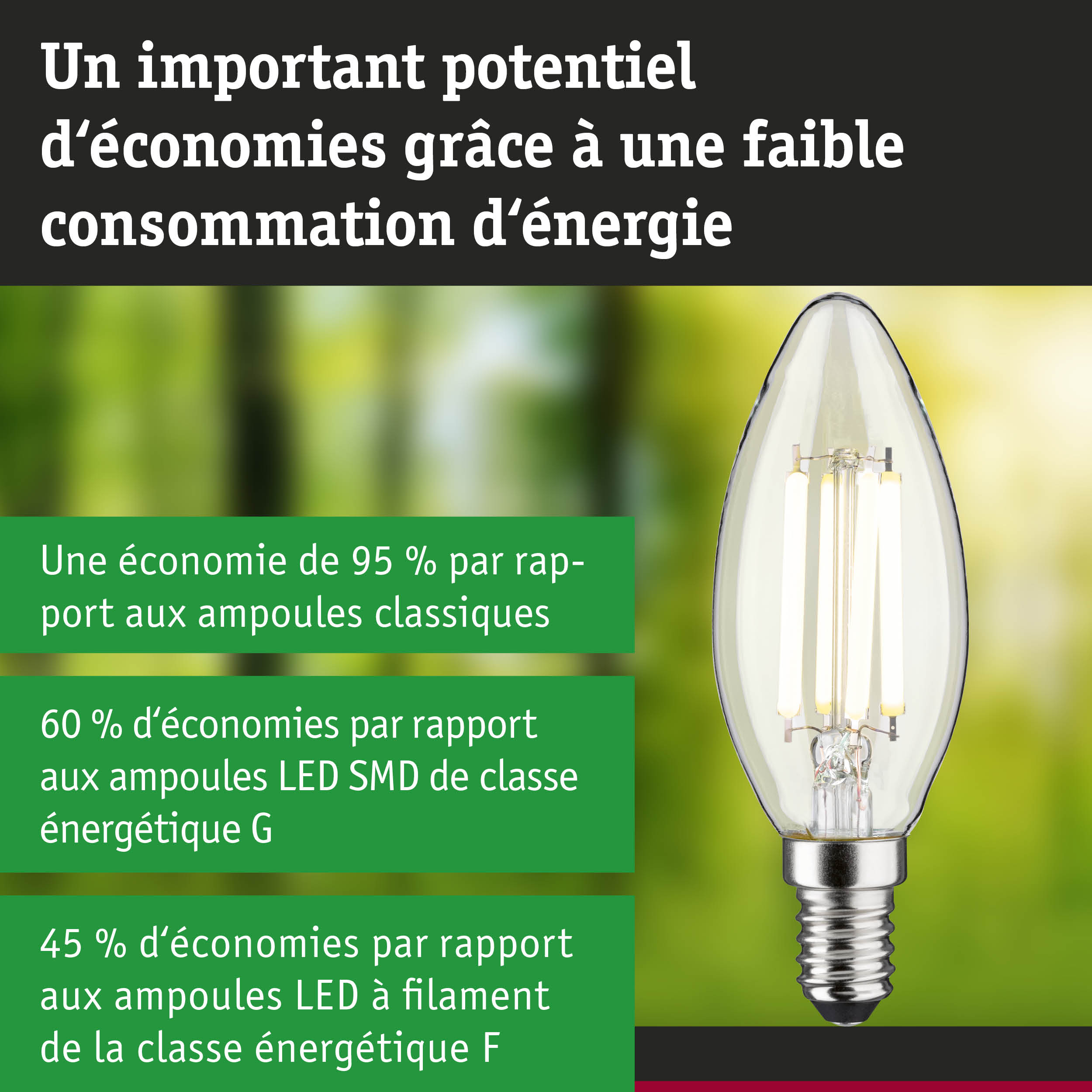 Ampoule LED économique en verre transparent avec culot E14 pour un éclairage efficace
