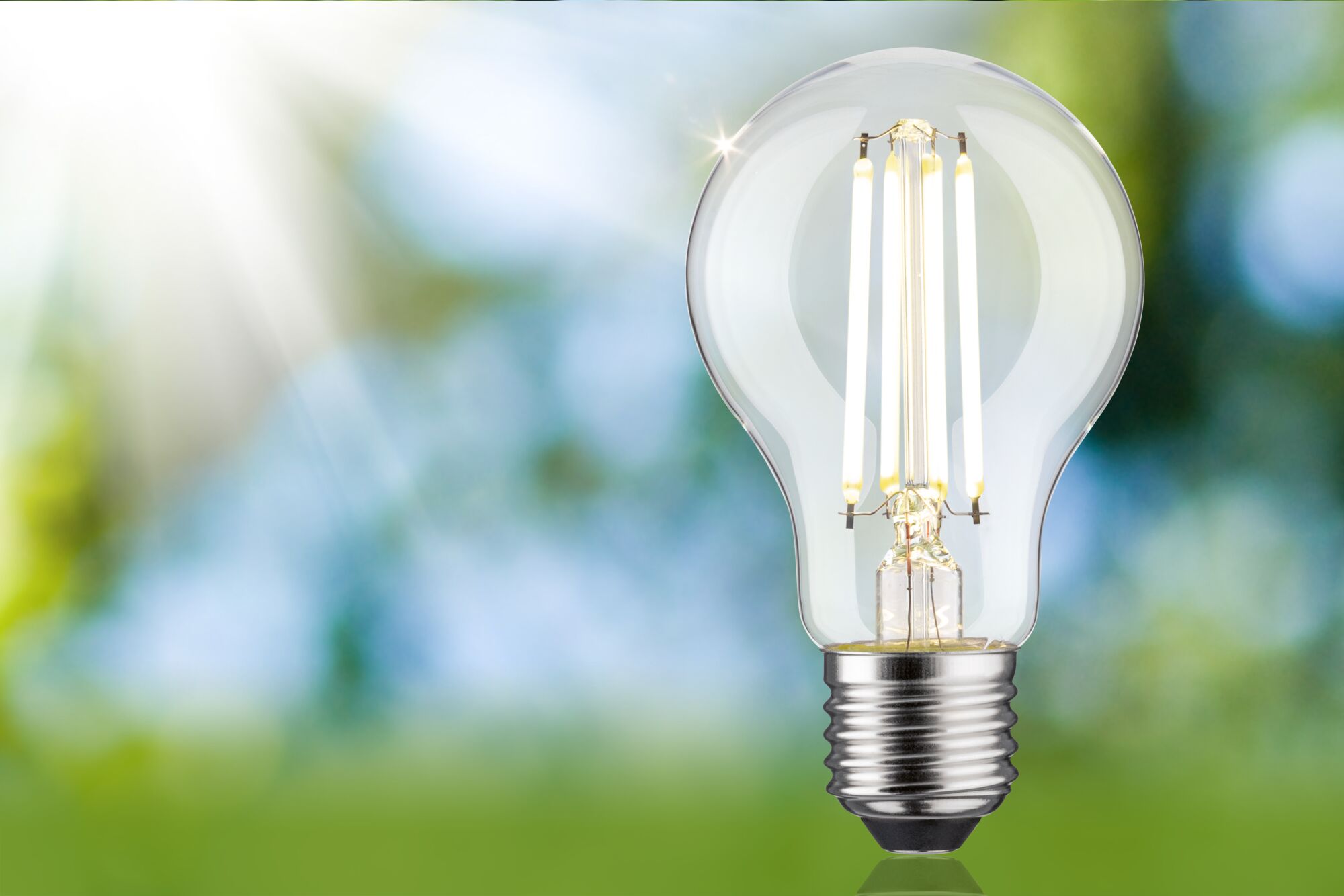 Klassische LED-Glühbirne mit transparentem Glas und Metallfassung vor grün-blauem Hintergrund