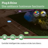 Luminaires encastrés RGBW sur terrasse en bois avec contrôle intelligent des couleurs et blanc réglable