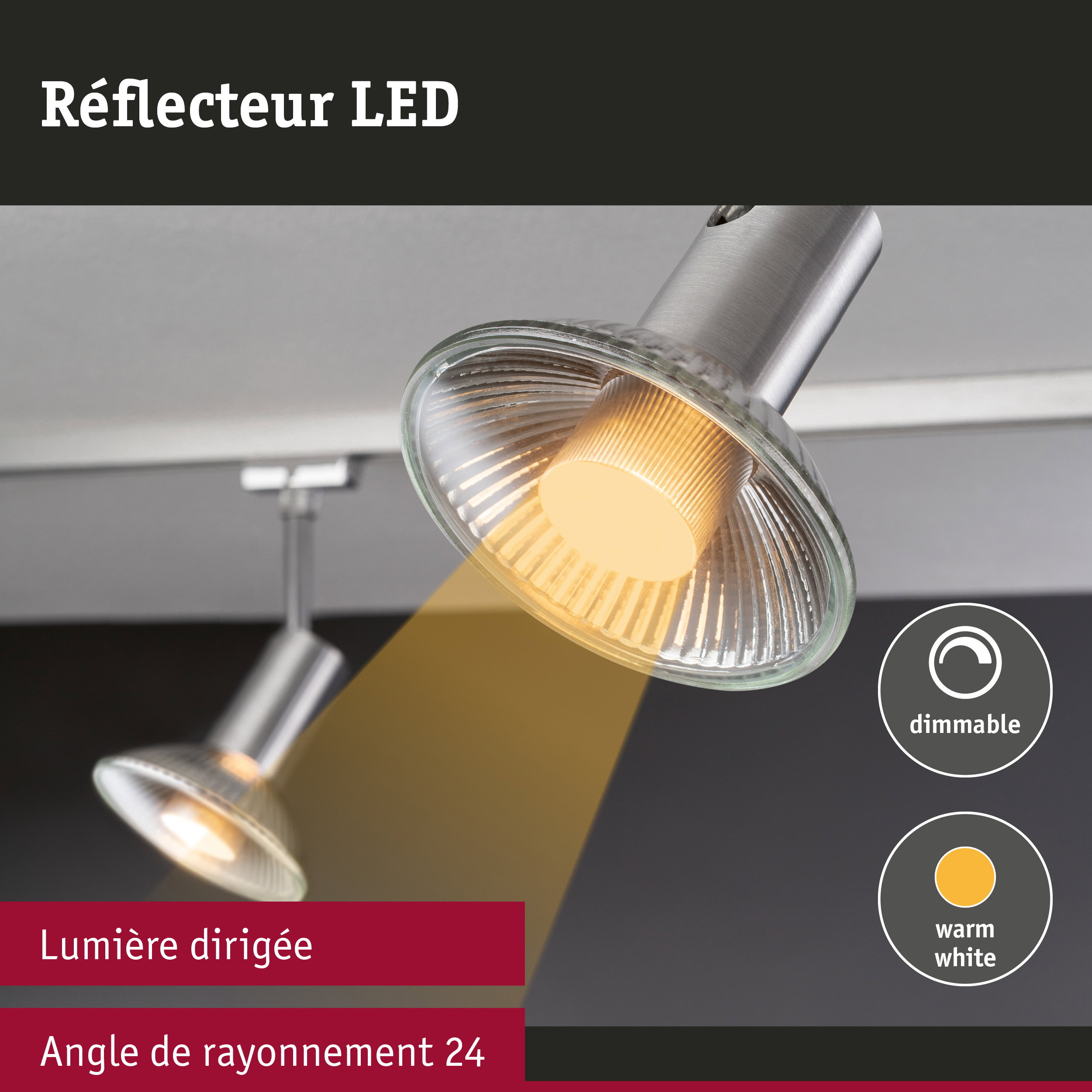 Réflecteur LED dimmable avec lumière blanc chaud et angle de rayonnement de 24 degrés en métal brossé