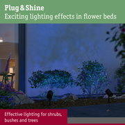 Plug & Shine black outdoor spotlight illuminating shrubs and flower beds with blue light