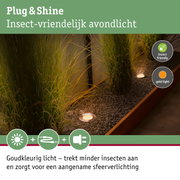 Insectvriendelijke warmwitte LED buiteninbouwspot van roestvrij staal voor tuinpaden