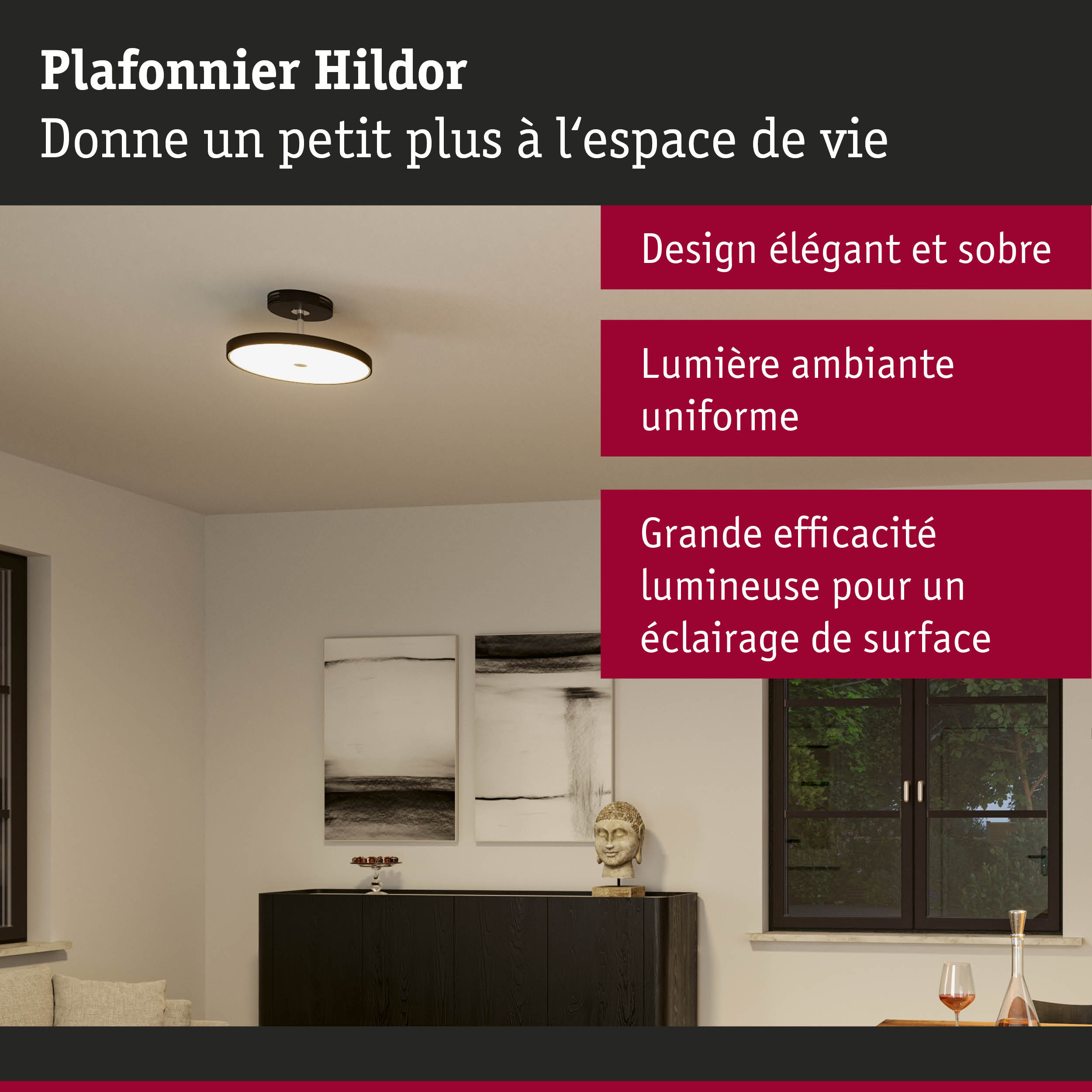 Plafonnier Hildor noir au design élégant avec lumière d'ambiance uniforme pour intérieur