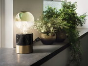 Lampe de table moderne avec base en marbre noir et laiton à côté de plantes vertes sur le rebord