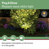 Garden with warm white light on green plants and purple flowers creating atmospheric outdoor lighting