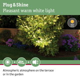Garden with warm white light on green plants and purple flowers creating atmospheric outdoor lighting