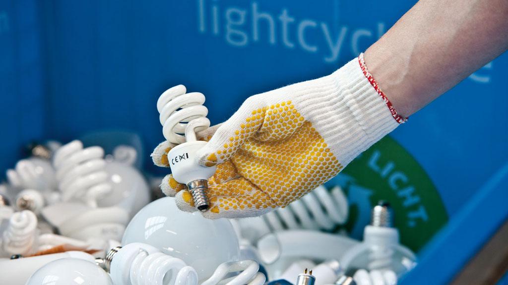 Hand mit Arbeitshandschuh hält kompakte Energiesparlampe vor blauem Recycling-Container für Lampenentsorgung