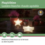 Lampe étoile à lumière blanche chaude sur terrasse avec pots en terre cuite et plantes violettes